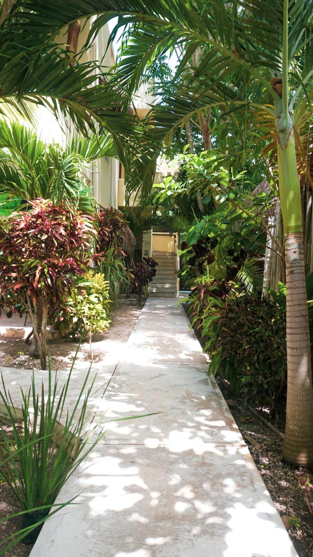 Hotel&suites Oasis Hotel Bacalar