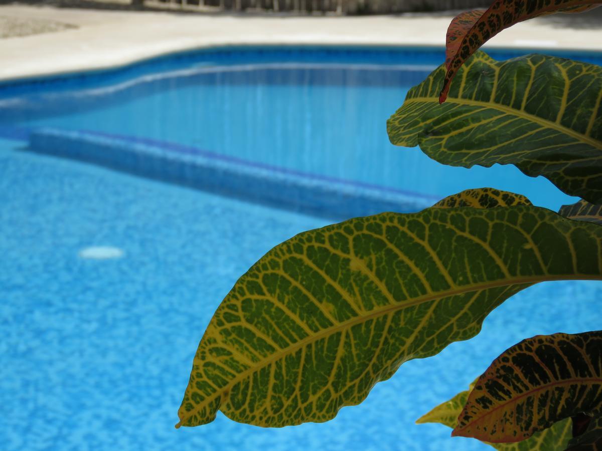 Hotel&suites Oasis