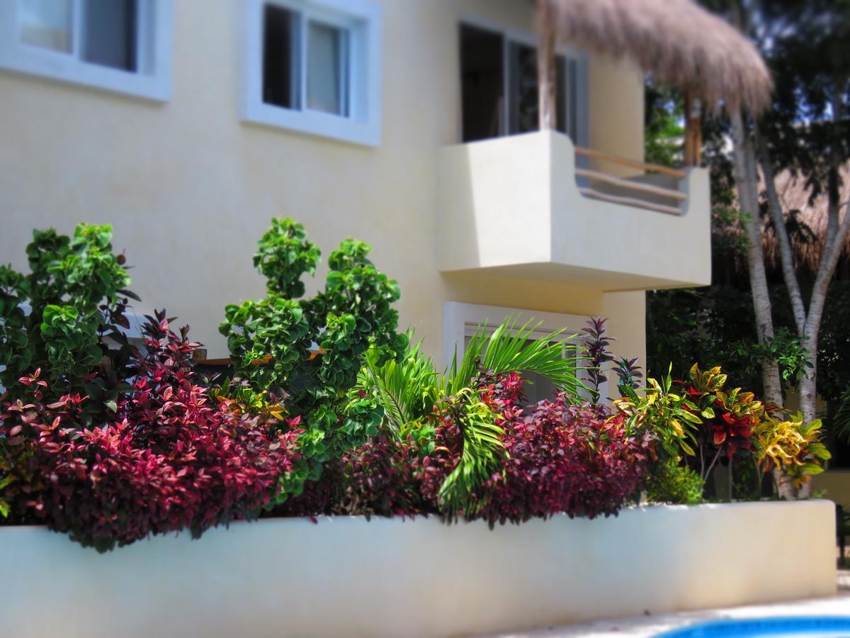 Hotel Hotel&suites Oasis